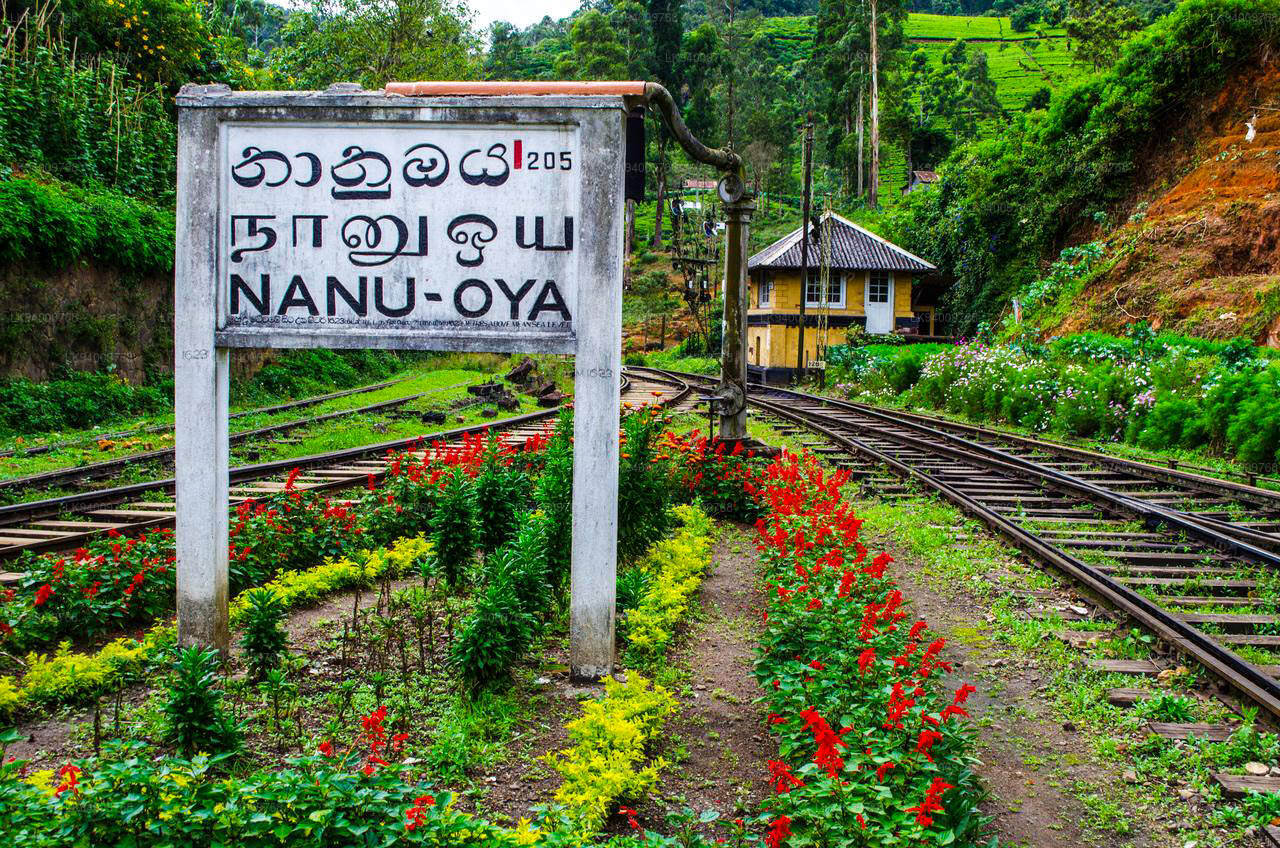 Nanu Oya station