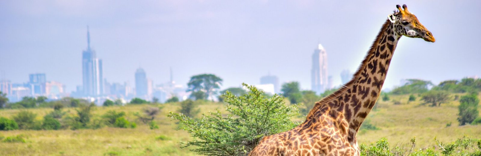 48 hours in Nairobi