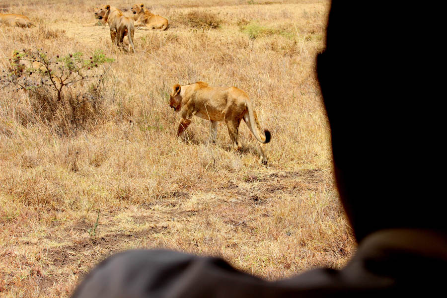 Nairobi National Park