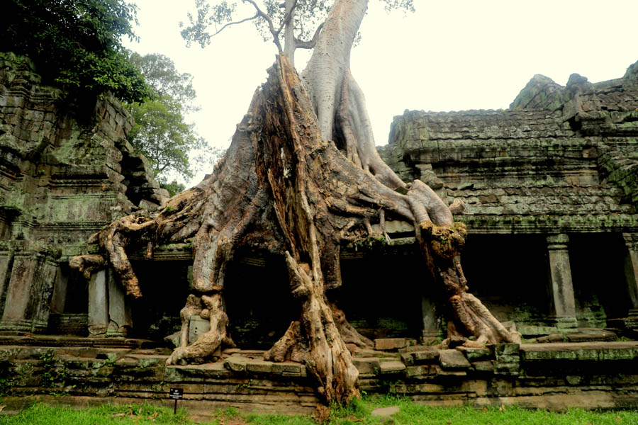 Ta phrom