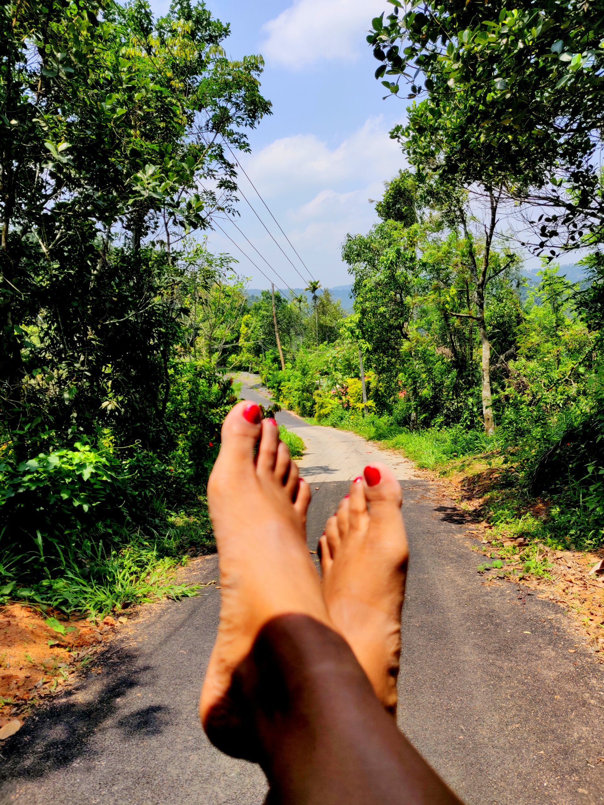 Go for a road trip along the Western Ghats