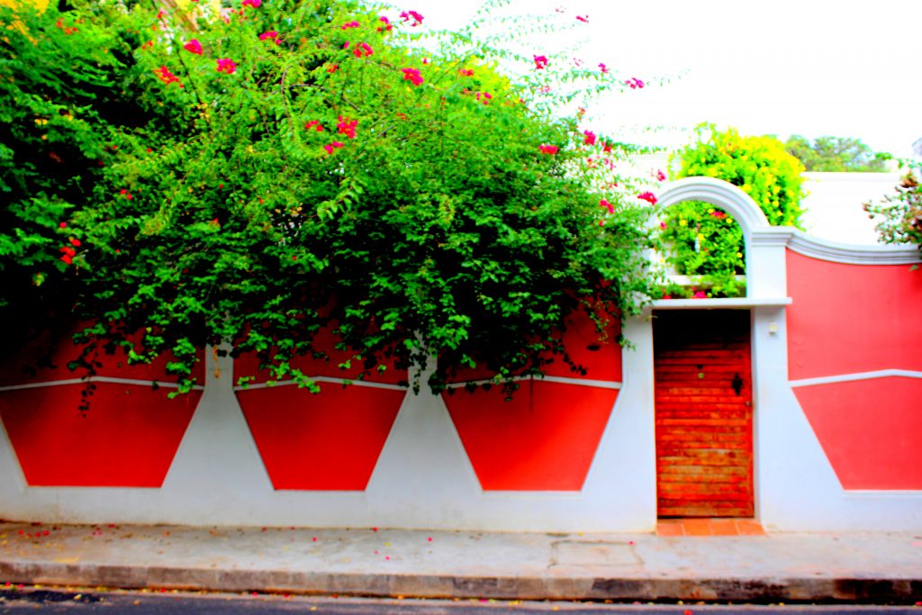 walls of pondicherry