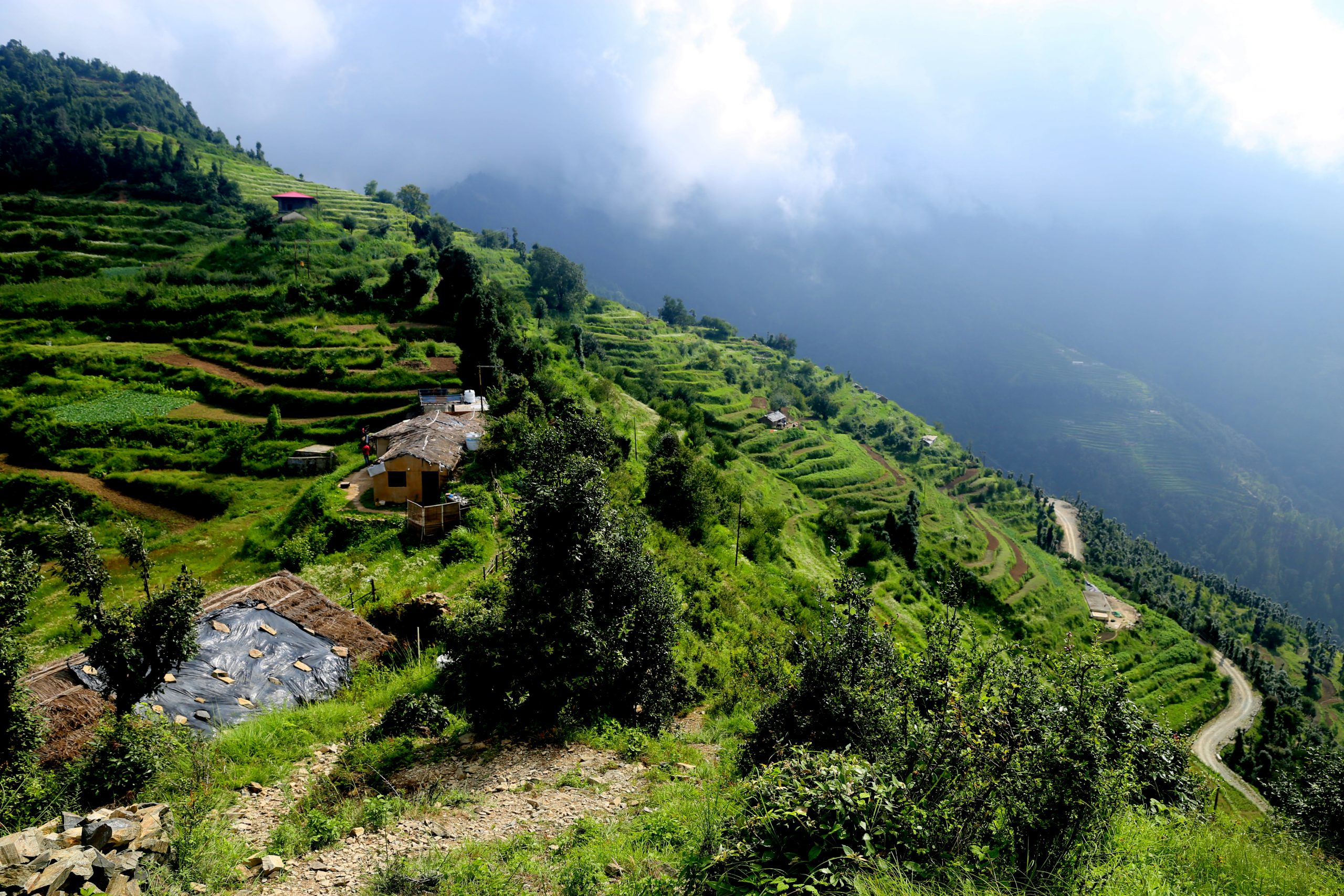 Homestays In The Himalayas
