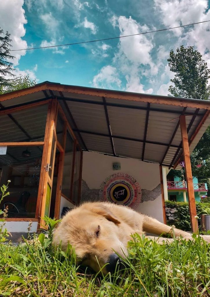 Homestays In The Himalayas mudhouse staycation from delhi