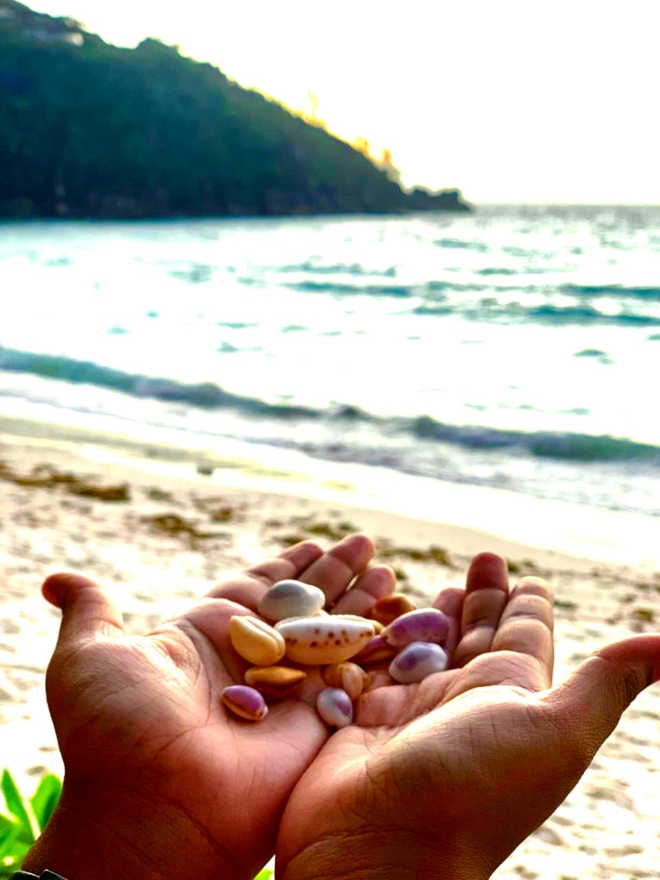 collecting seashells in Seychelles Roslin