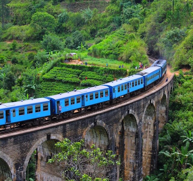 Experiencing The Best Train Ride In Sri Lanka: From Nuwara Eliya To Ella