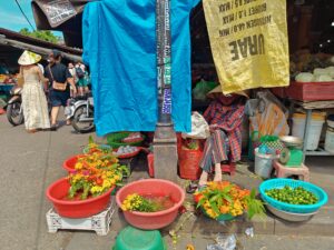 Hoi An Market 2