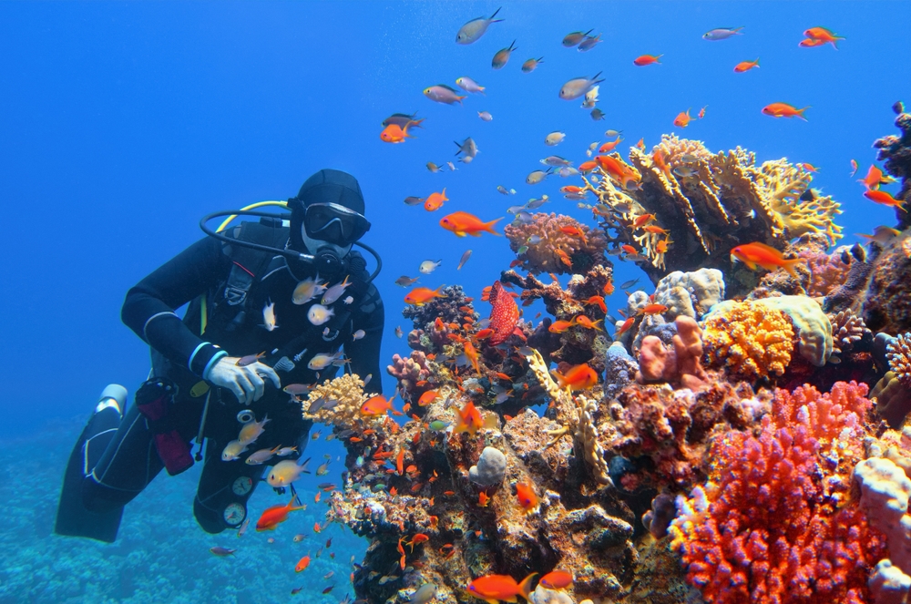great barrier reef