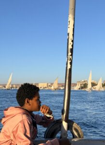 things to do in aswan elephantine island