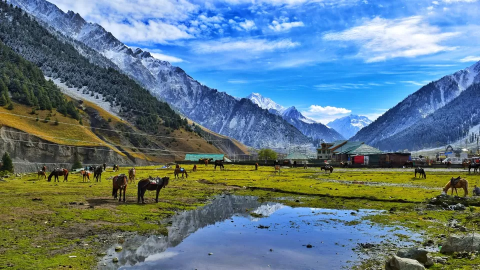 Puga valley ladakh