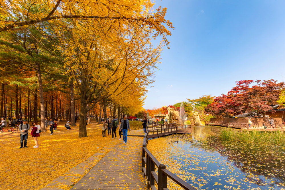exploring nami island on a daytrip 