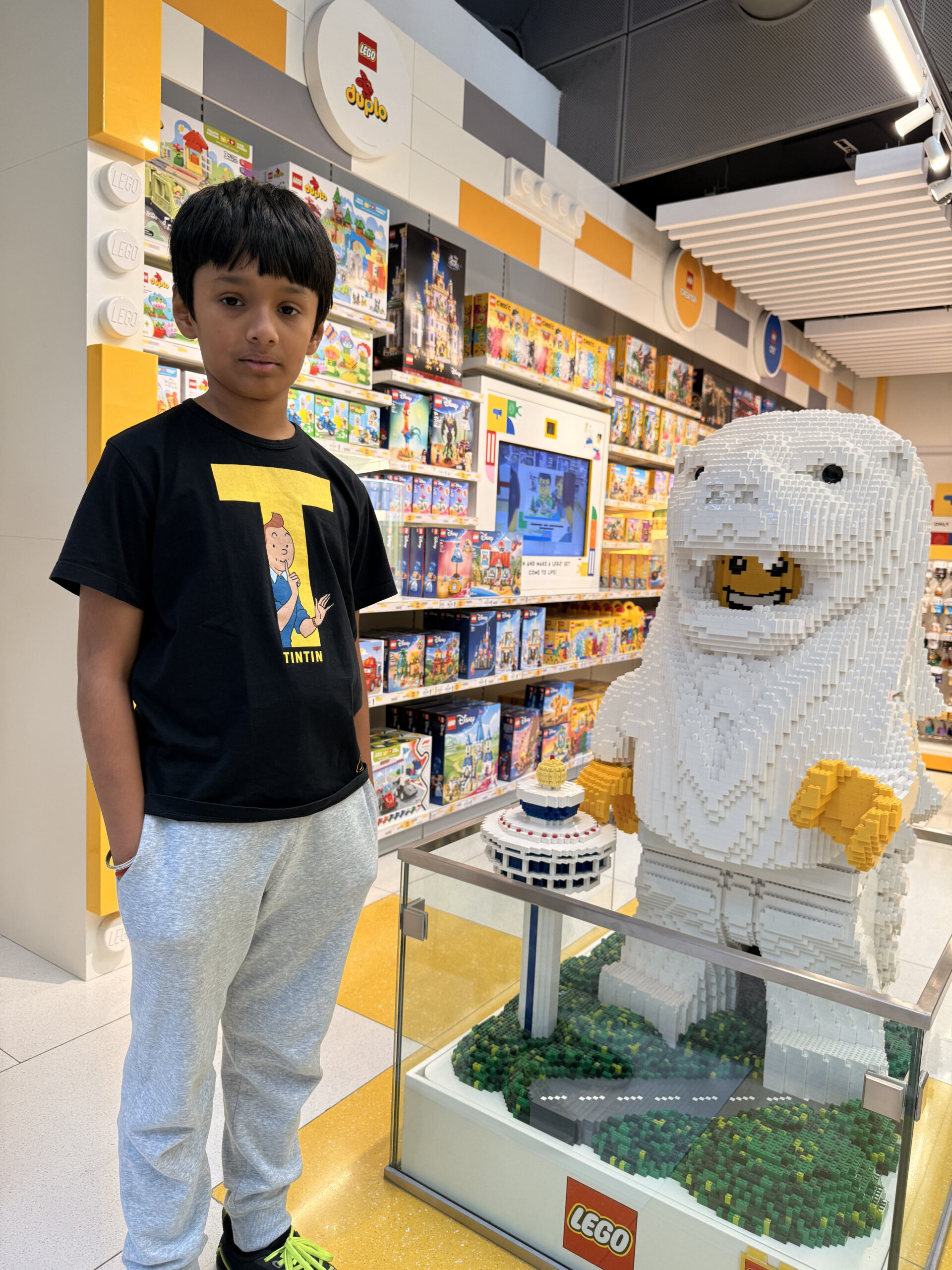Rudra, at the LEGO store in Changi.