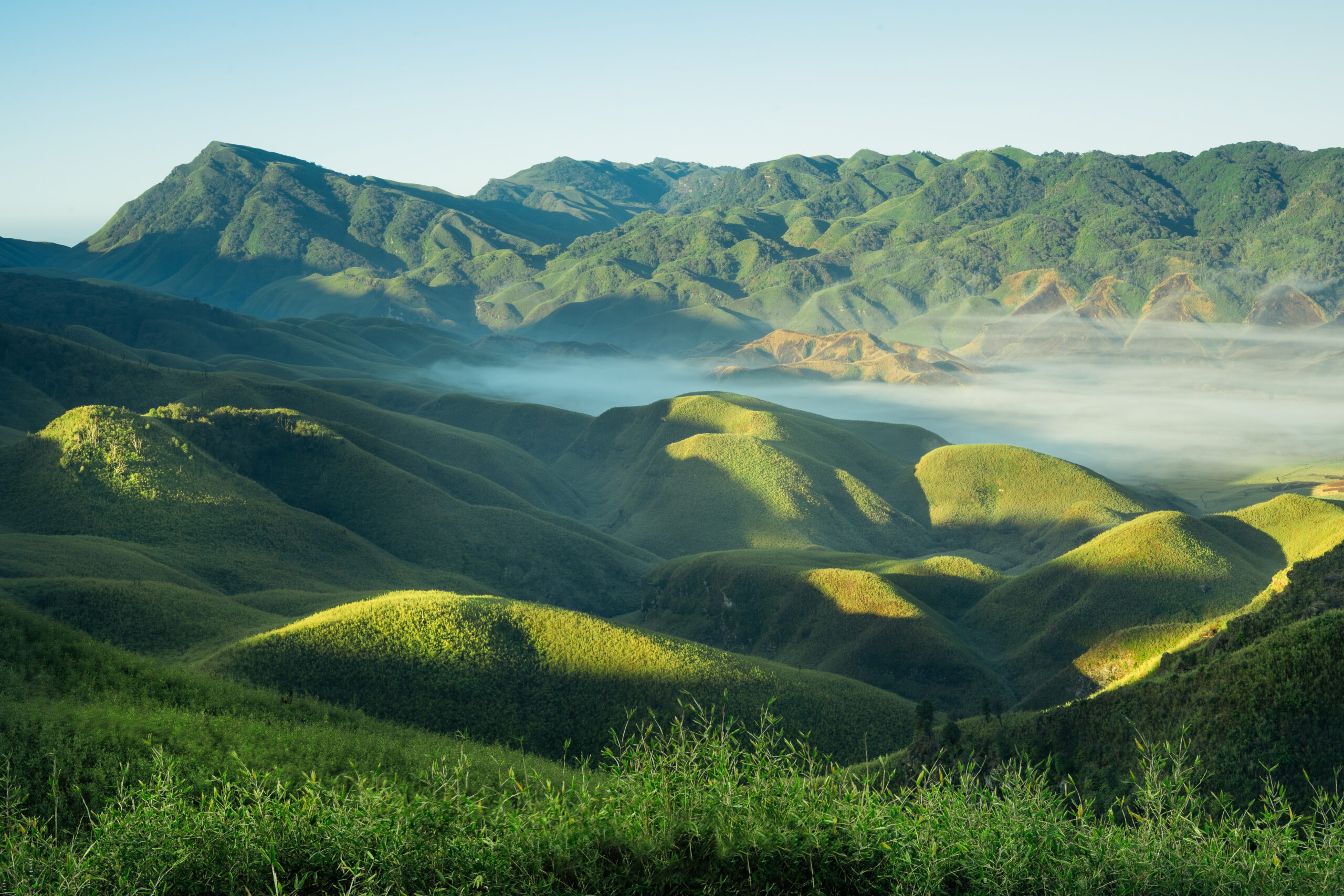 dzukou valley nagaland