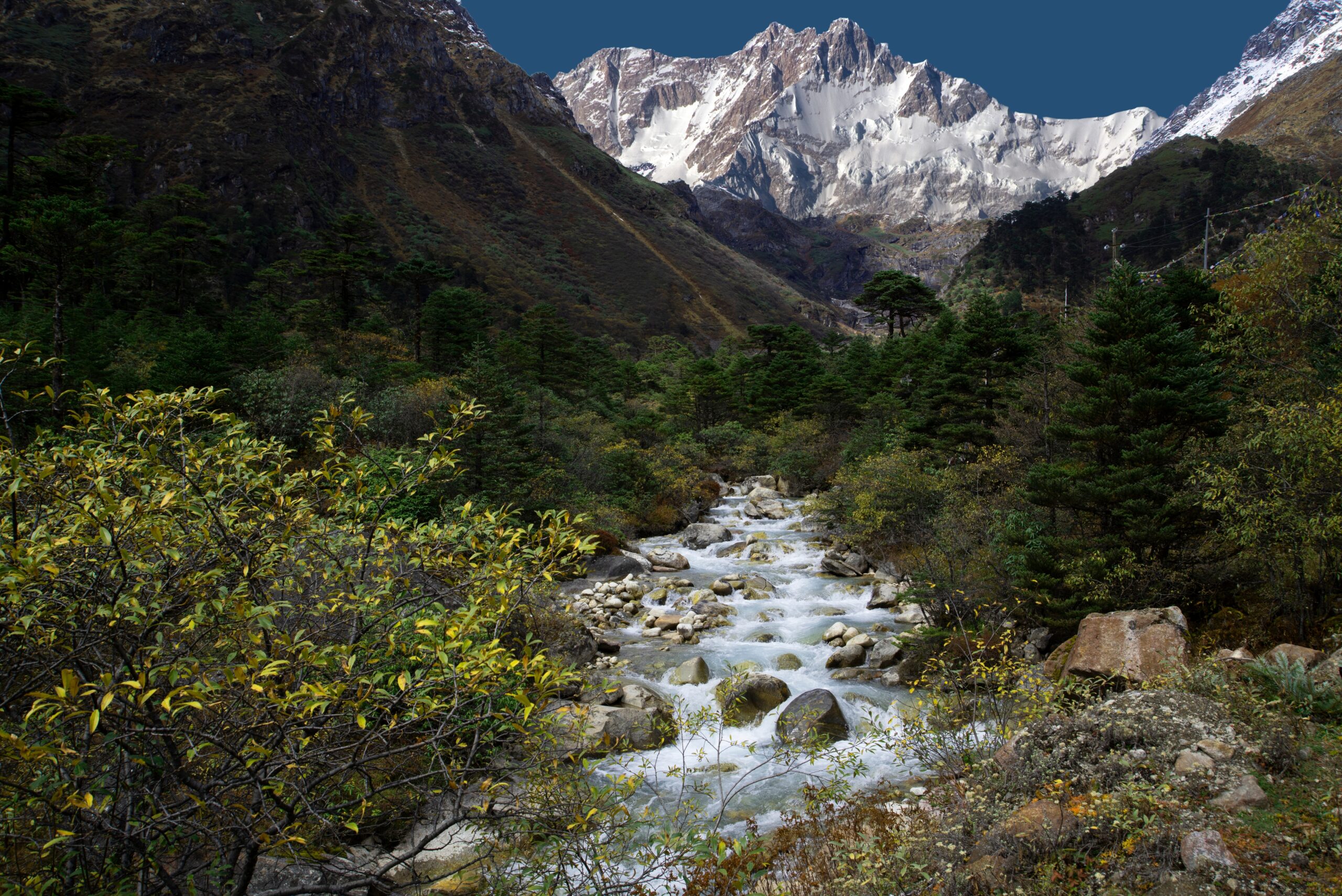 best places to visit in june yumthang valley