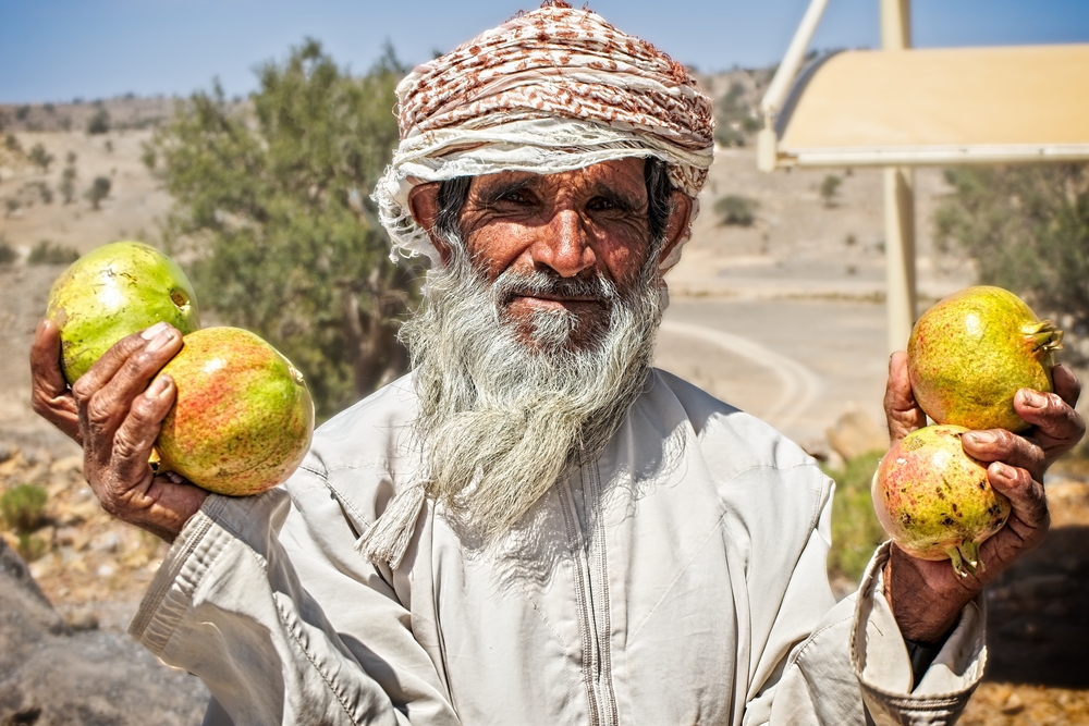 An elderly local Omani farmer selling pomegranate from his farm by the roadside at Jabal Akhdar.