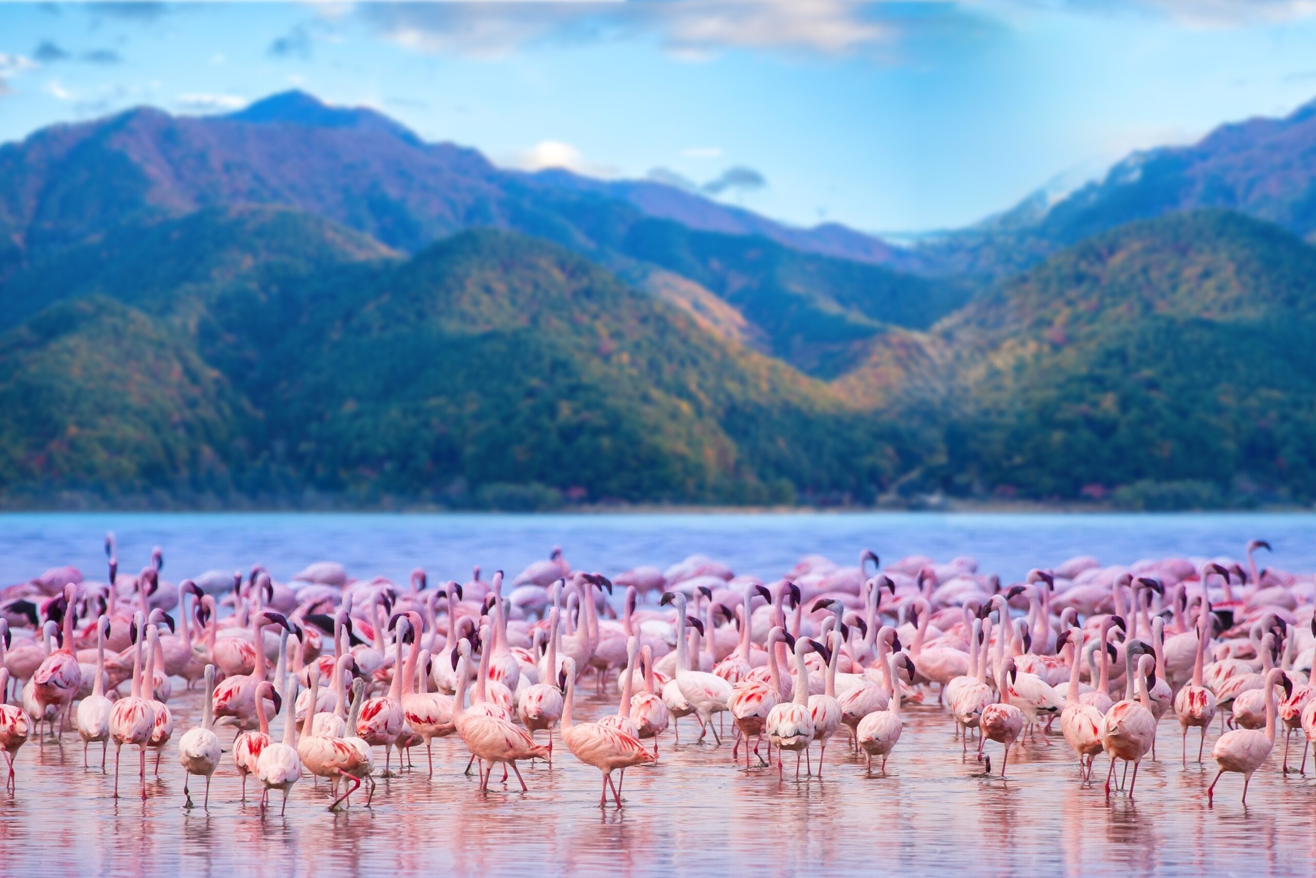 best time to visit kenya lake nakuru