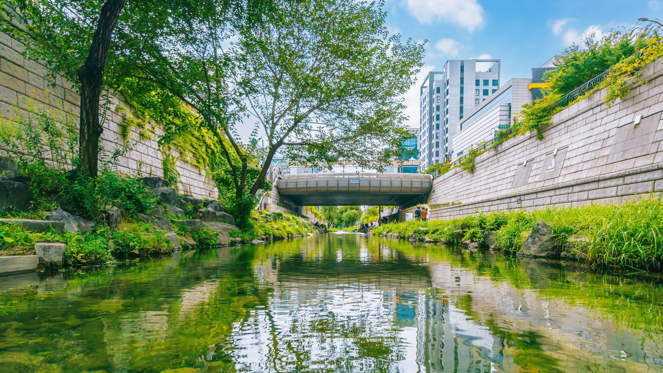 Cheonggyecheon Stream