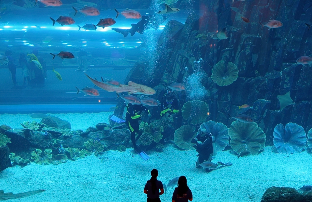 Double Up Holidays in Singapore vs Dubai for Families