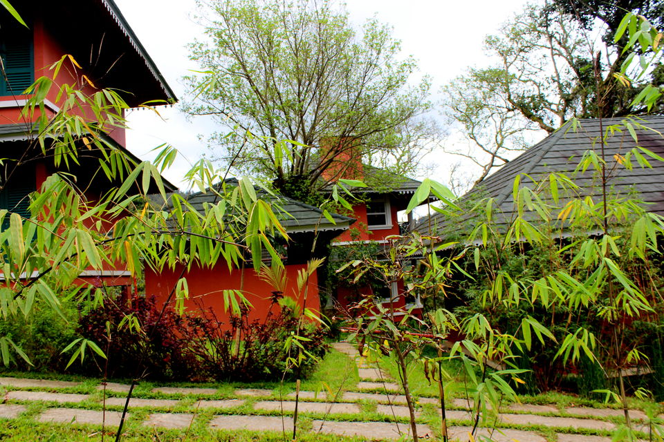 The luxurious cottages amidst the greenary!