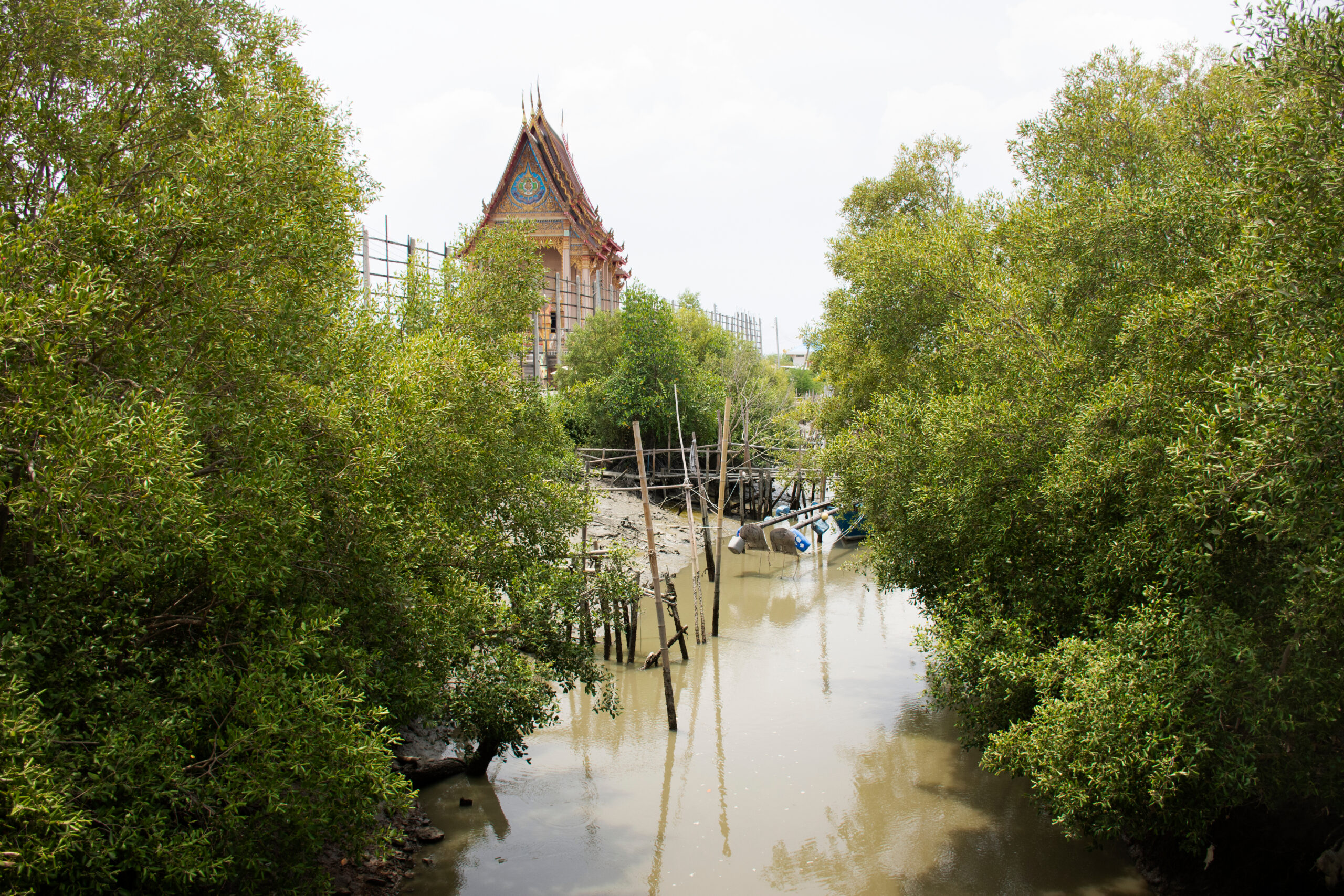 Bang Krachao hidden gems in bangkok