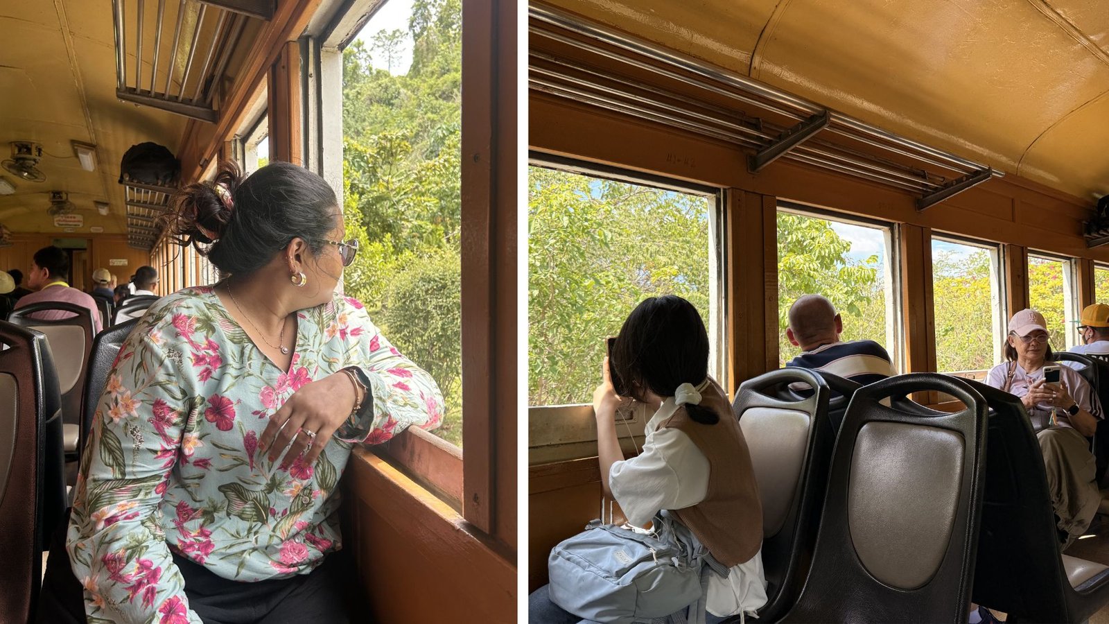 view from the train
