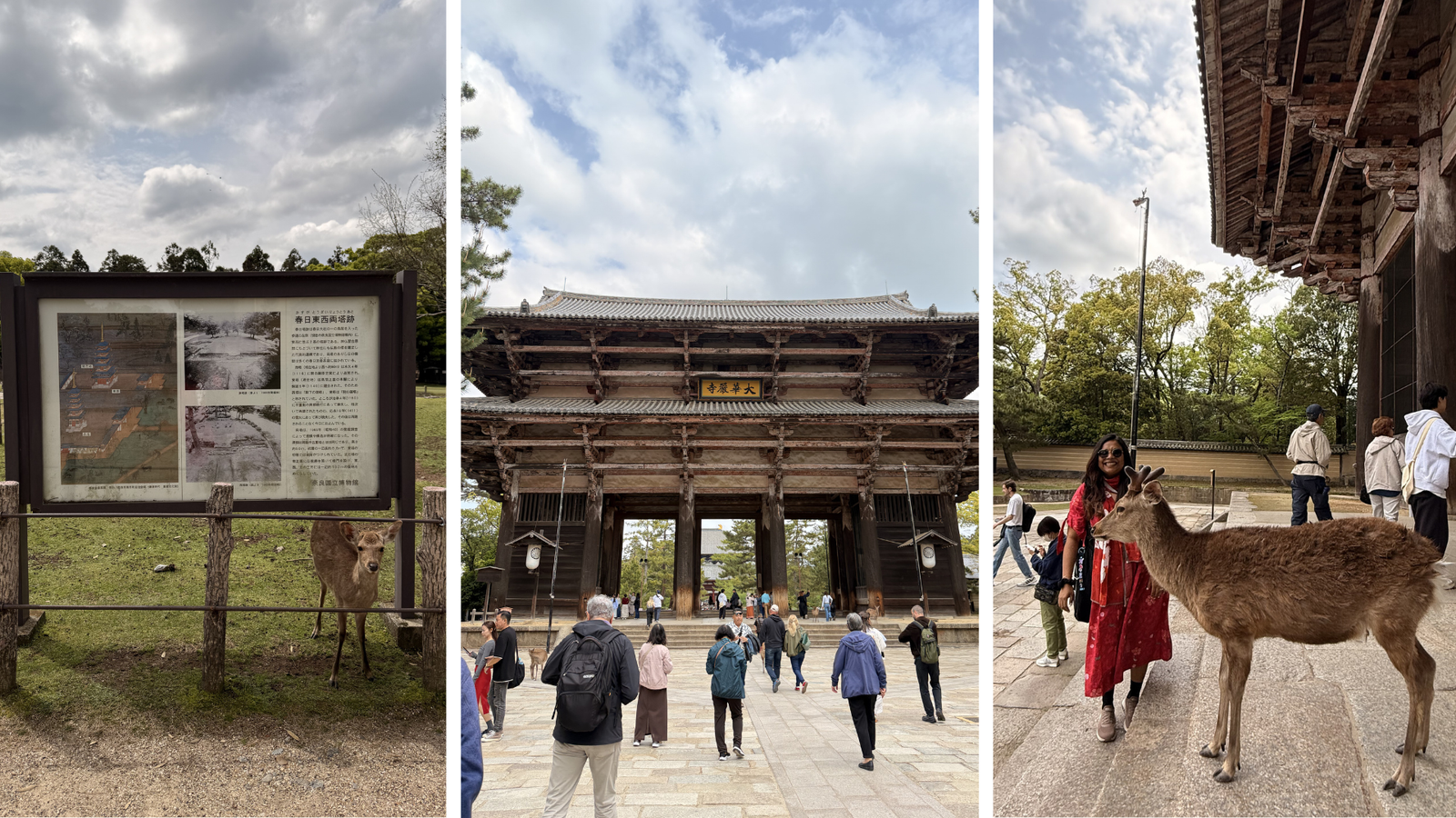 day trip to nara