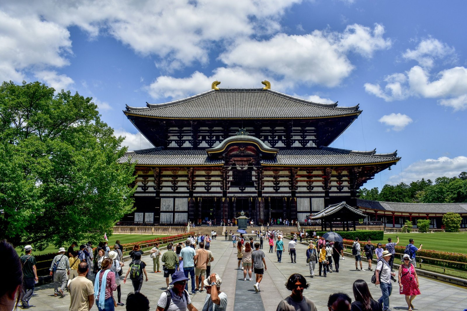 todai ji temple in Nara