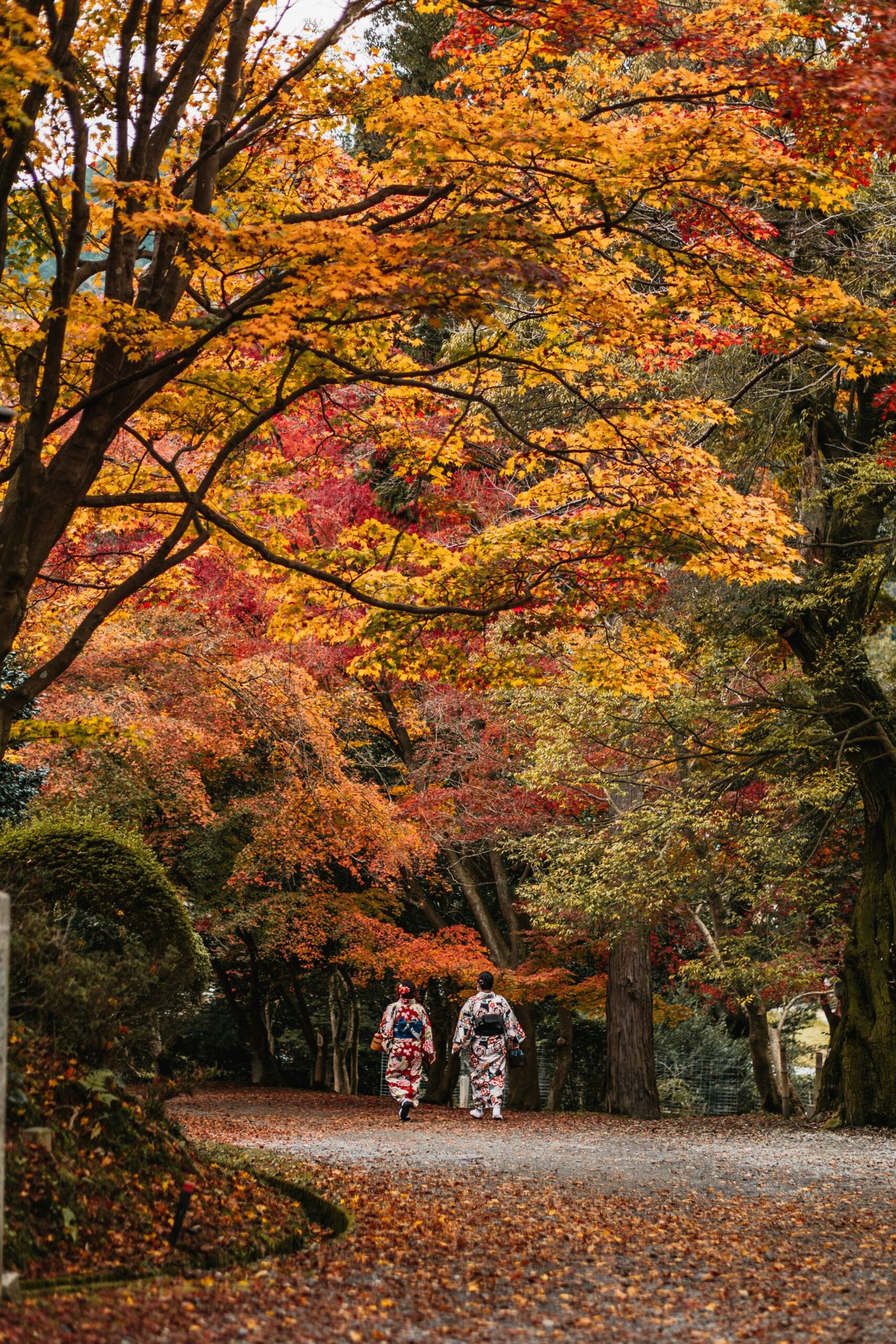 fall colors of autumn in japan