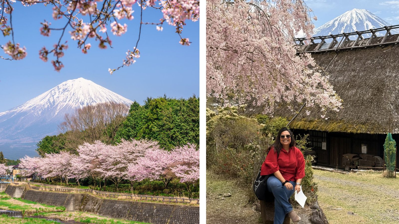 Mt fuji day trip from tokyo