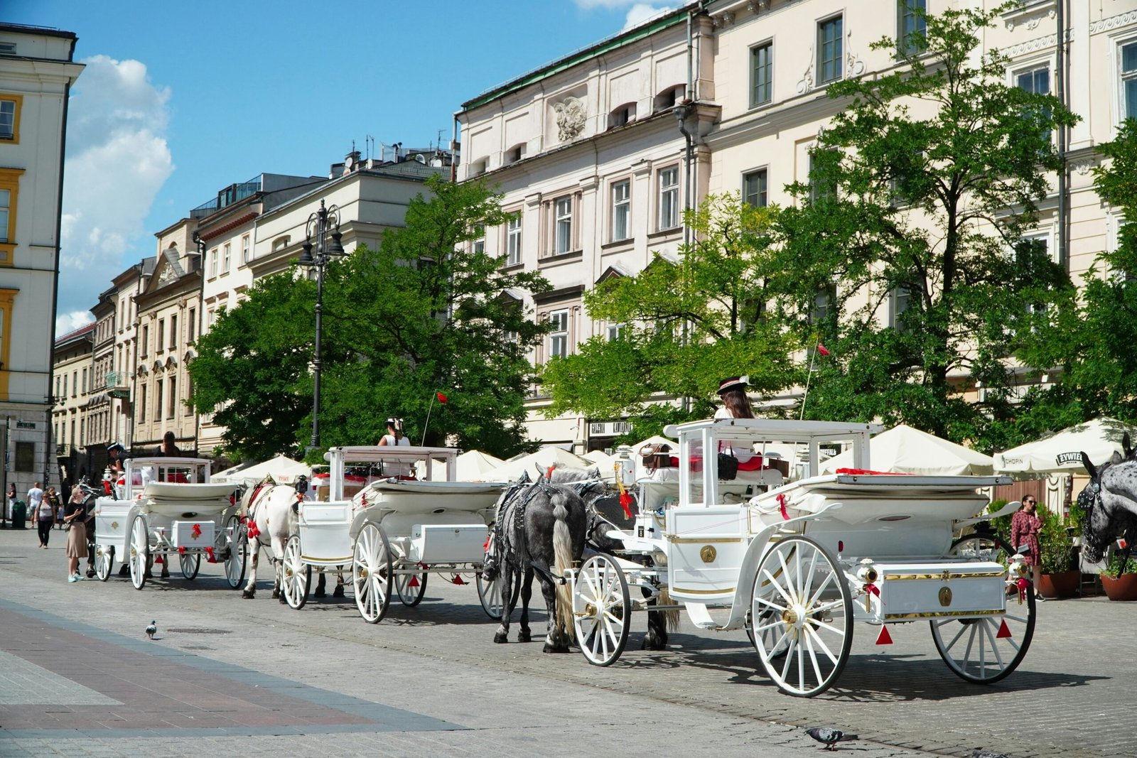 A summer afternoon in the Old Town of Kraków, Poland.